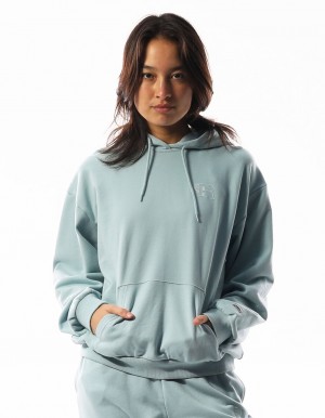 Dámské Mikina s Kapucí Russell Athletic Inlay Logo Unbrushed Tyrkysové | WPV-726398