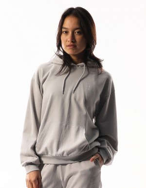 Dámské Mikina s Kapucí Russell Athletic Inlay Logo Unbrushed Světle Šedé | SHZ-489023