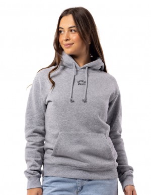 Dámské Mikina s Kapucí Russell Athletic Originals Embriodered Šedé | TJU-701684