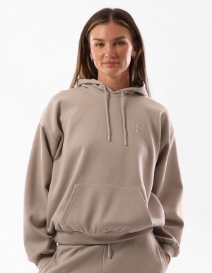 Dámské Mikina s Kapucí Russell Athletic Original Inlay Logo Hnědé | PQN-201569
