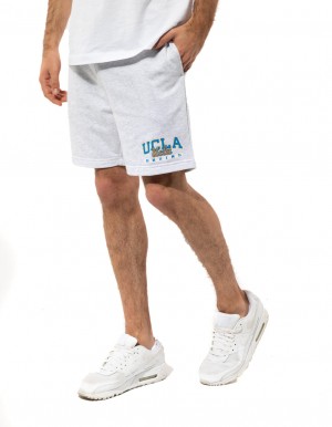 Pánské Kraťasy Russell Athletic California Stříbrné | YFD-297653
