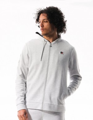 Pánské Mikina s Kapucí Russell Athletic Americana Tech Fleece Zip Světle Šedé | HOB-423905