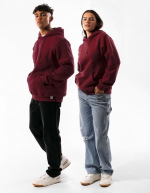 Pánské Mikina s Kapucí Russell Athletic Unisex Dri Vínové | IRF-394621