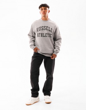 Pánské Svetr S Výstřihem Do Posádky Russell Athletic Core Arch Šedé | LTP-789150