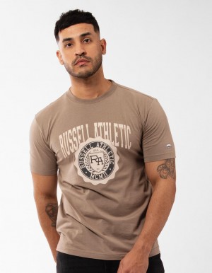 Pánské Tričko Russell Athletic Big Seal Béžový | ODU-936421