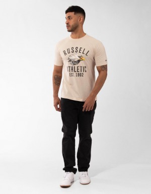 Pánské Tričko Russell Athletic Screaming Eagle Šedé | UEV-407963