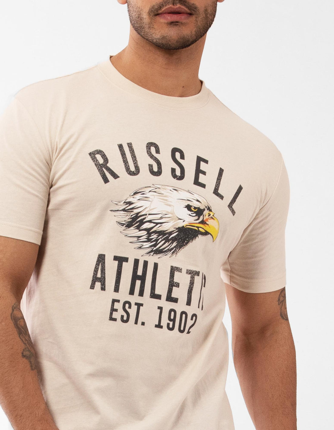 Pánské Tričko Russell Athletic Screaming Eagle Šedé | UEV-407963